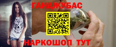 сатива Новозыбков