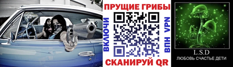 Псилоцибиновые грибы ЛСД  наркошоп  Красный Сулин 