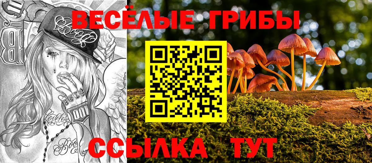 Красный Сулин  Галлюциногенные грибы Magic Shrooms  наркота  Вход с VPN 
